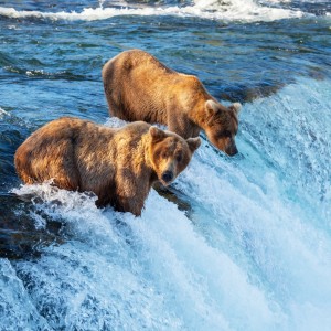 Alaska Auto Shipping