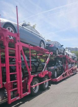 car transport