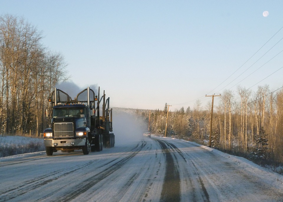 snowbird transport services