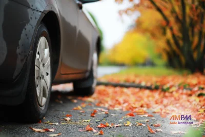 close-up of car tire on pavement covered in fall leaves, illustrating fall car maintenance